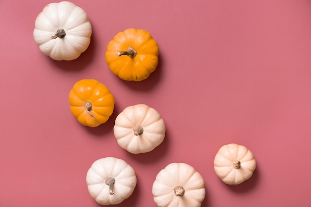 Groupe de citrouilles décoratives vue de dessus sur fond rose Mise à plat d'automne