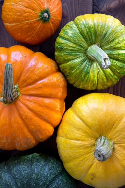 Groupe De Citrouilles