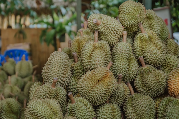 Groupe de durians