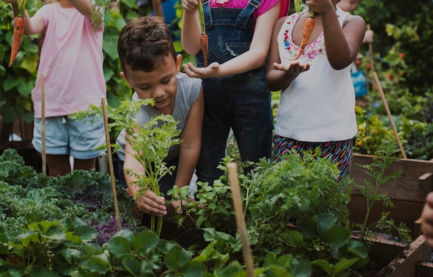 Photo groupe d'enfants de jardin d'enfants apprenant à jardiner en plein air