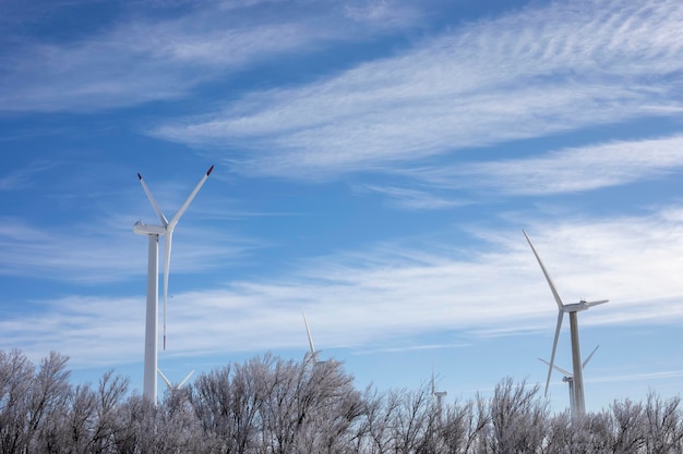 Un groupe d'éoliennes produisant de l'électricité