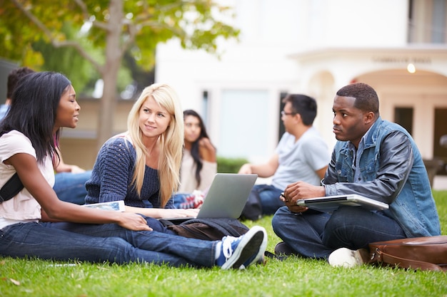 Groupe d'étudiants universitaires travaillant ensemble à l'extérieur