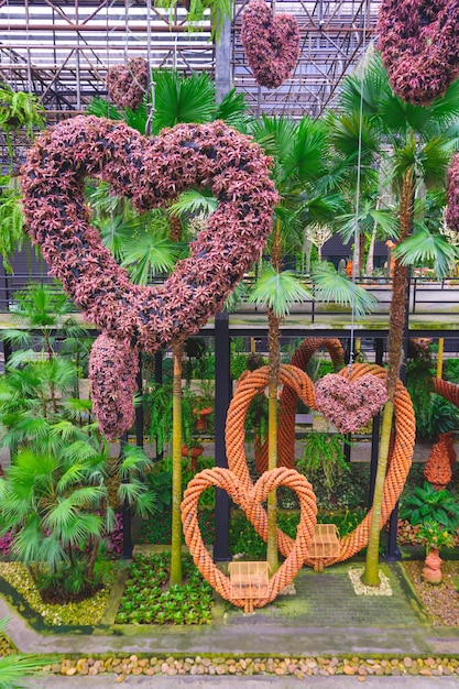 Photo groupe de feuillage rouge suspendu en forme de coeur avec des plantes ornementales au jardin tropical de nong nooch