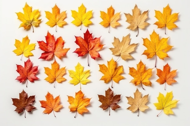 Photo groupe de feuilles d'automne colorées isolées sur fond blanc