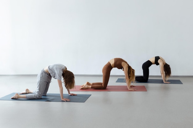 Groupe de filles athlétiques faisant des asanas de chat pose à genoux pendant le cours de yoga en groupe dans un studio de fitness