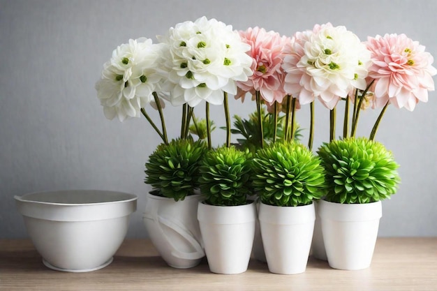 un groupe de fleurs blanches avec des feuilles vertes dans des pots blancs