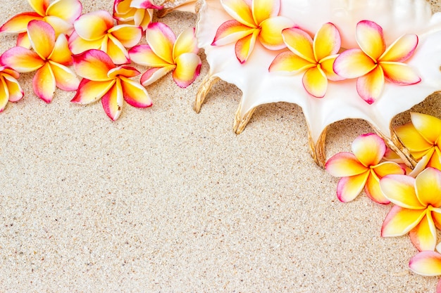 Groupe de fleurs fraîches de frangipanier rose et jaune ou de plumeria sur le sable avec copie espace, vue de dessus en arrière-plan