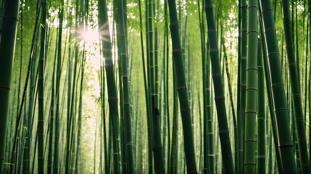 Un groupe de grands bambous verts dans une forêt