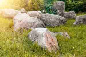 Photo groupe de gros rochers ou pierres sur l'herbe verte. rochers ou boules dans la nature