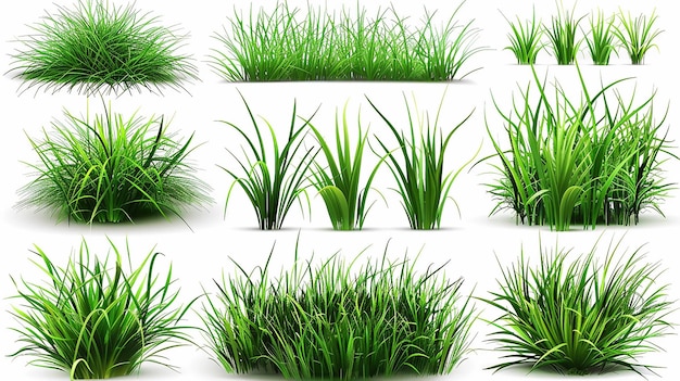 un groupe d'herbe qui pousse dans un pot