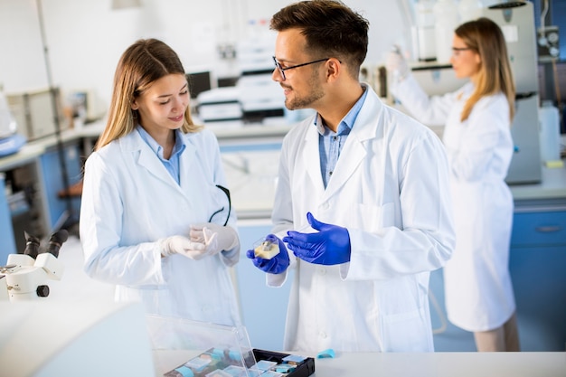 Groupe de jeunes chercheurs analysant des données chimiques en laboratoire