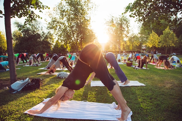 Un Groupe De Jeunes Font Du Yoga Dans Le Parc Au Coucher Du Soleil.