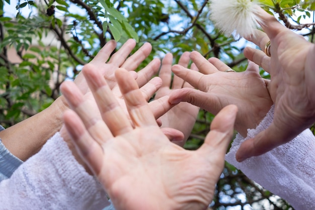 Groupe de mains de personnes sous un arbre fleuri dans le parc Journée mondiale de l'environnement et durable