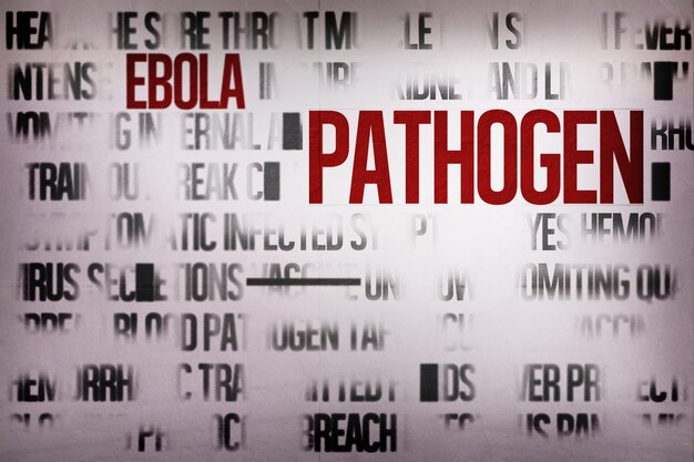 Groupe de mots ebola généré numériquement