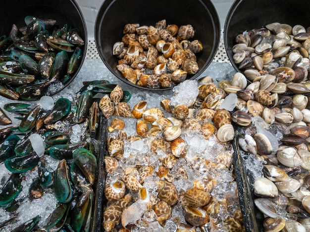 Groupe des moules fraîches, Mercenaria mercenaria (quahog), babylonia areolata dans le plateau en plastique avec de la glace pilée à vendre au marché de fruits de mer près de la mer, vue de face pour l'arrière-plan.