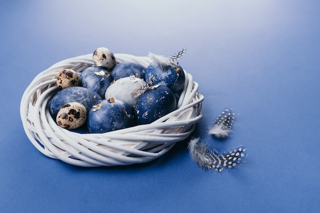 Groupe d'oeufs bleu clair dans leur nid sur fond bleu.