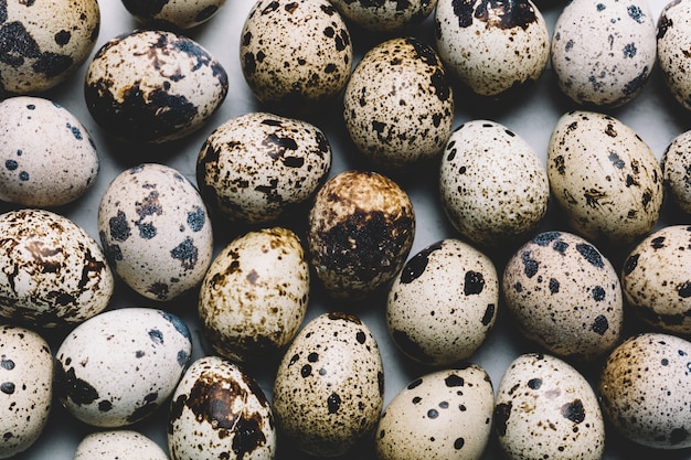 Groupe d&#39;oeufs de caille avec des taches sombres ensemble