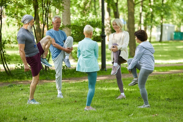 Groupe de personnes âgées modernes passant une matinée ensoleillée dans le parc faisant des exercices d'étirement