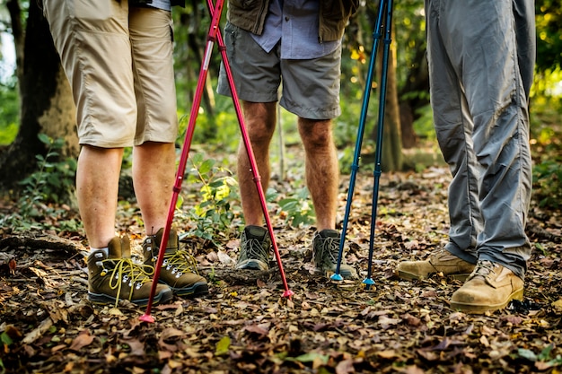 Groupe de personnes âgées trekking dans la forêt