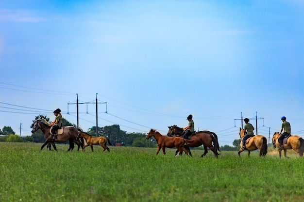 Groupe de personnes sur des chevaux Herbe verte et fond de ciel bleu