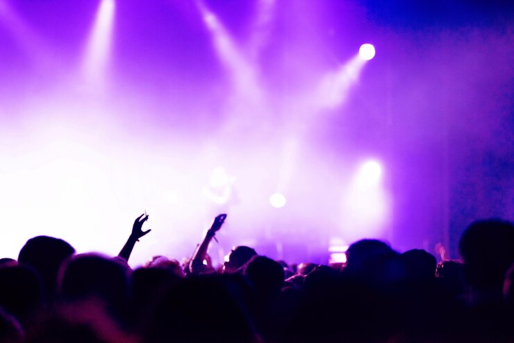 Photo groupe de personnes à un concert de musique