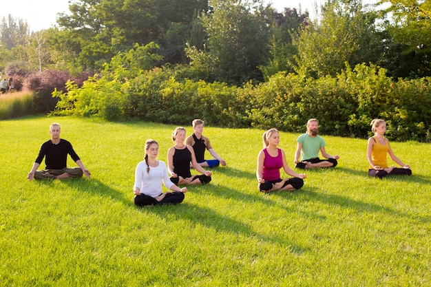 Un groupe de personnes dans une pose de lotus sur une pelouse verte dans le parc