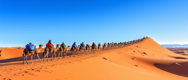 un groupe de personnes à dos de chameau