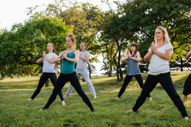 Un groupe de personnes font du yoga dans le parc au coucher du soleil