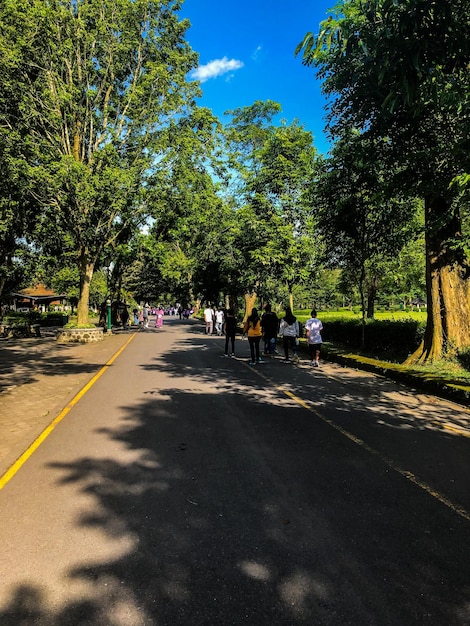 Un groupe de personnes marche sur une route avec des arbres