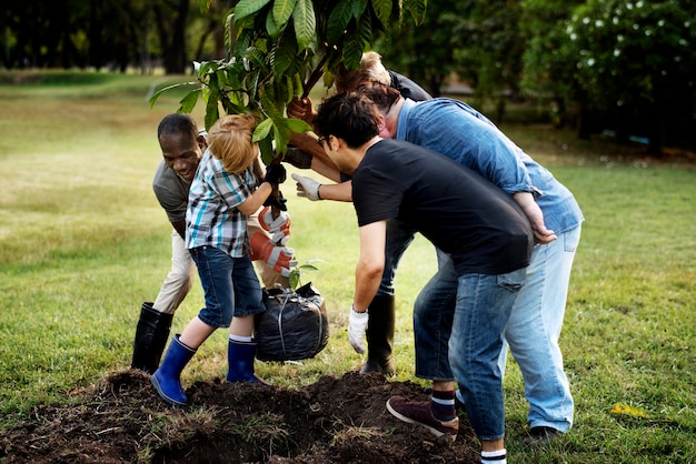 Groupe de personnes plantent un arbre ensemble à l'extérieur