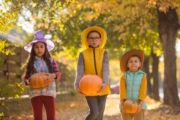 Groupe de petits enfants profitant de la fête des récoltes au champ de citrouilles