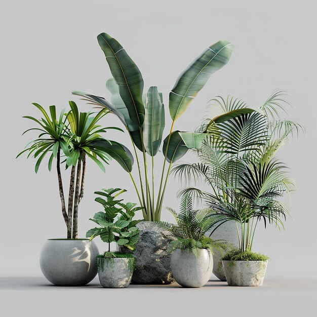 un groupe de plantes en pot avec des plantes en elles