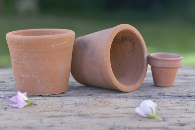 Groupe de pots de fleurs en terre cuite posés sur une table en bois dans un jardin