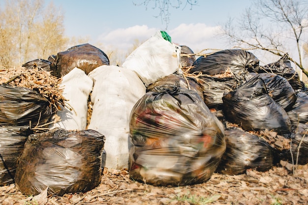 Groupe de sacs en plastique remplis de déchets organiques du jardin et de la cour. Sacs à ordures avec des feuilles