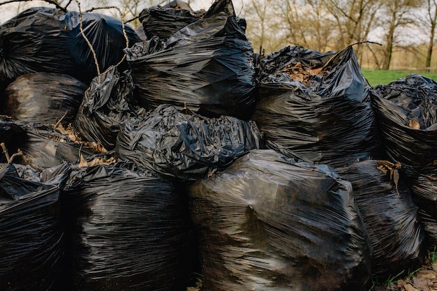 Groupe de sacs en plastique remplis de déchets organiques du jardin et de la cour. Sacs à ordures avec des feuilles