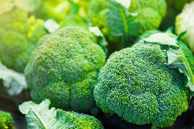 Groupe de têtes de brocoli sur des plateaux dans un supermarché