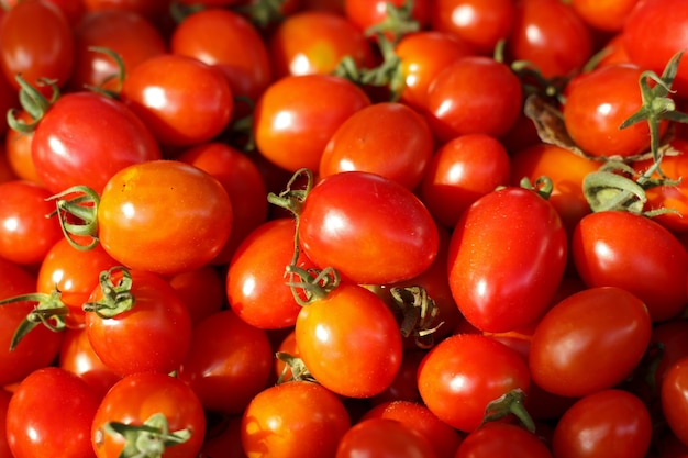 Groupe de tomates fraîches dans le panier.