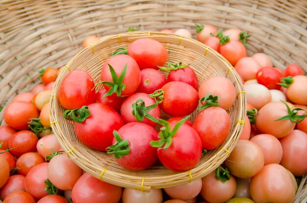 Groupe de tomates fraîches