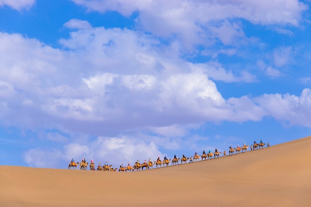 Un Groupe De Touristes Montent à Dos De Chameau Dans Le Désert De Mingsha Shan Ou Dans Les Dunes De Sable Chantantes Avec La Caravane Dans Le Cadre De La Route De La Soie à Dunhuang, Gansu, Chine.