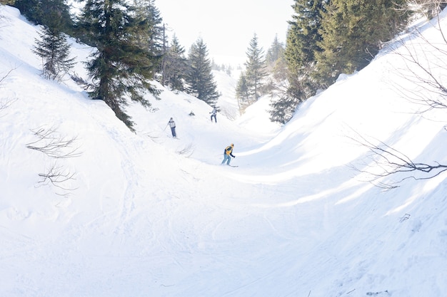 Groupe de trois snowboarders freeride, femmes et hommes, roule et monte des planches de snowboard sur une pente de neige, et profite de la magnifique chaîne de montagnes des Alpes en arrière-plan. Vue arrière.