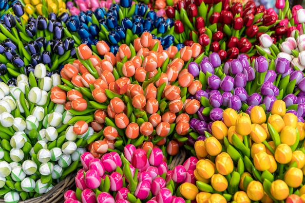 Groupe de tulipes en bois colorées