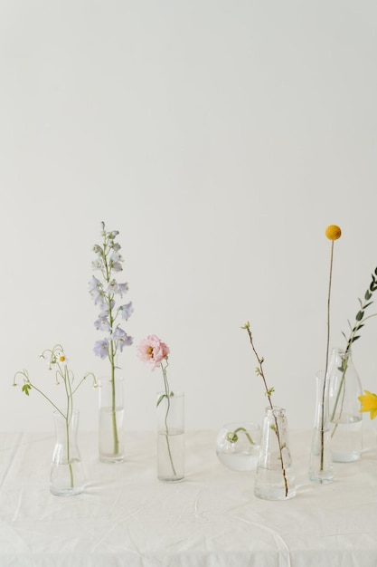 un groupe de vases en verre avec des fleurs