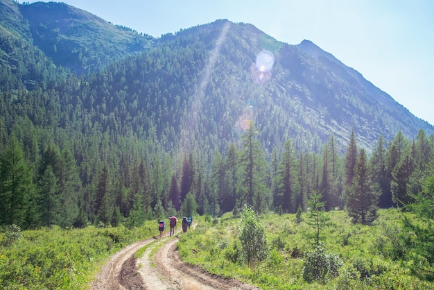 Photo un groupe de voyageurs avec des sacs à dos marche le long d'un sentier vers une crête de montagne par une journée ensoleillée d'été