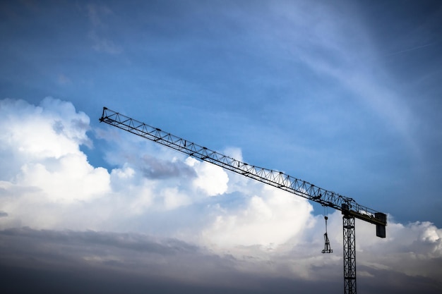 La grue bleue