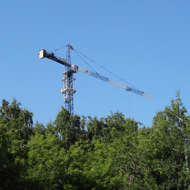 Grue de construction au-dessus des arbres verts