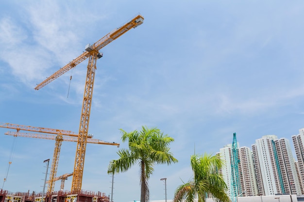 Grue de construction et bâtiment