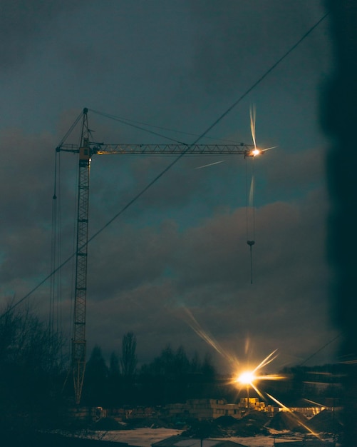 Photo une grue dans la forêt.