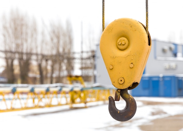 Grue jaune