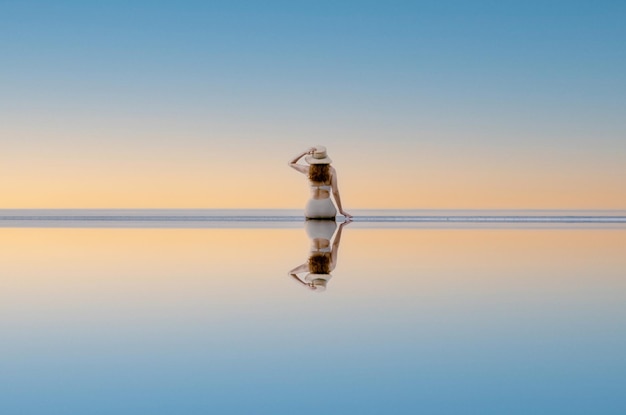 Photo une grue en mer contre un ciel clair au coucher du soleil