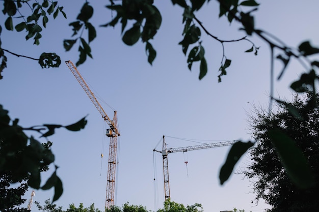 Grue orange dans le port de Göteborg avec verdure encadrant la grue